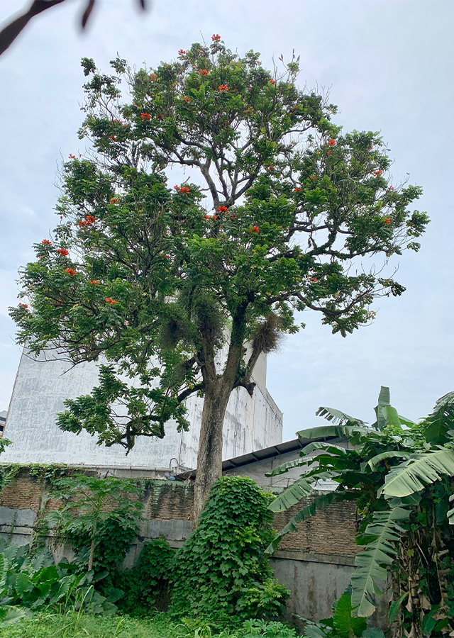 Kecrutan