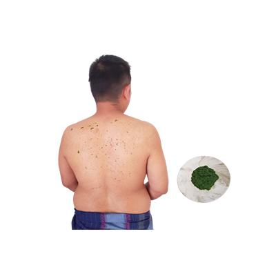 Traditional recipe Back pain from Pohon Sosis