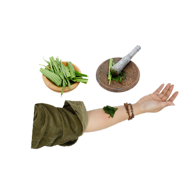 Traditional recipe Wounds from Daun Sendok Panjang