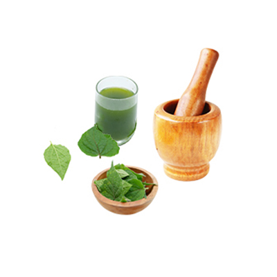 Traditional recipe Anthelmintic from Ciplukan Peru