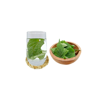 Traditional recipe Relieves stomach disorders in children from Ciplukan Peru