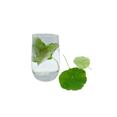 Traditional recipe Clears the nose and nasal mucosa inflammation from Nasturtium