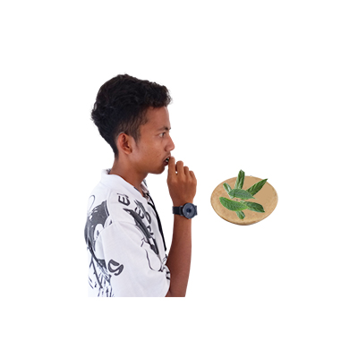 Traditional recipe Vomiting and diarrhea from Bayam Hutan