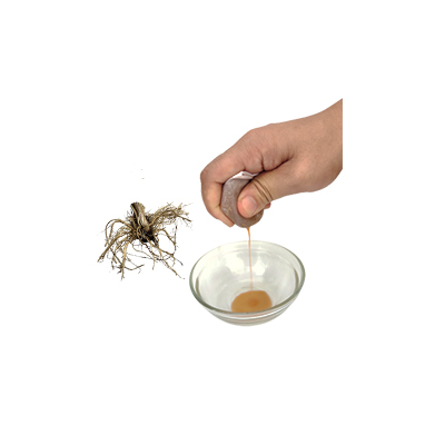 Traditional recipe Treats insomnia from Valerian