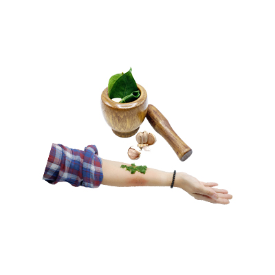 Traditional recipe First aid for wounds from Melinjo