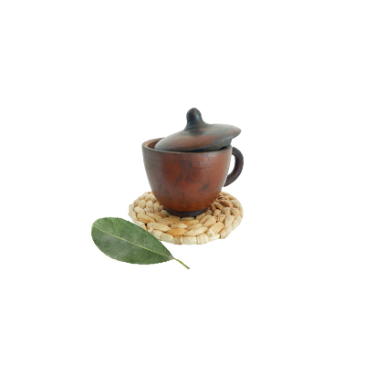 Traditional recipe Reduces fever from Sawo Hitam