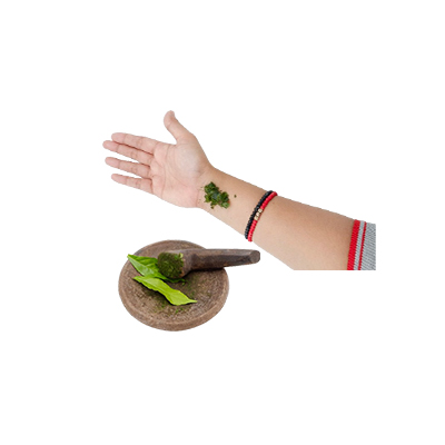 Traditional recipe Wound from Pohon Alchorn