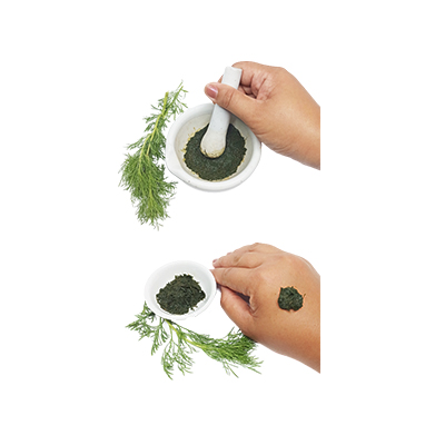 Traditional recipe Insect or Reptile Bites from Adas Hutan