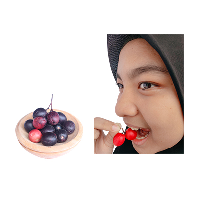 Traditional recipe Gallbladder Disease from Buah Renda