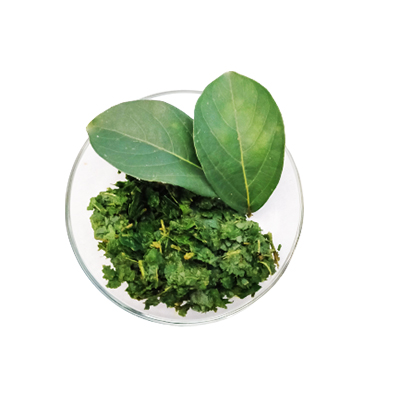 Traditional recipe Breast Inflammation from Bungur Jepang