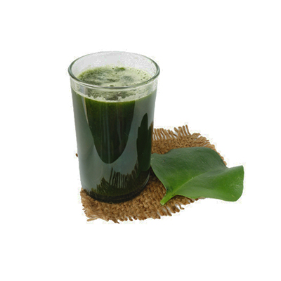 Traditional recipe Coughing or Vomiting Blood from Binahong
