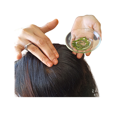 Traditional recipe Curry Leaf Hair Mask (Preventing Premature Graying) from Daun Kari