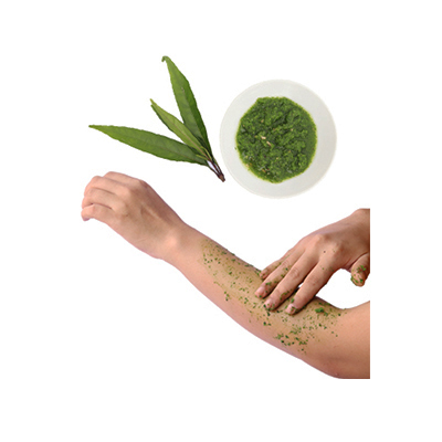 Traditional recipe Muscle Pain from Gandarusa