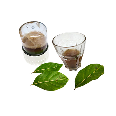 Traditional recipe Treating Vaginal Discharge from Kadamba