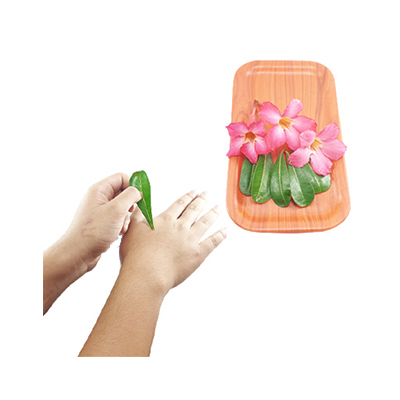 Traditional recipe Treating Skin Warts from Kamboja Jepang