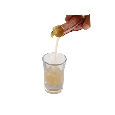 Traditional recipe Dry Throat or Cough from Kantung Semar