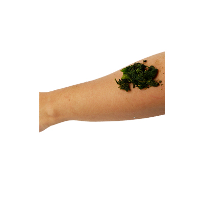 Traditional recipe Treating Itching from Daun Kurap