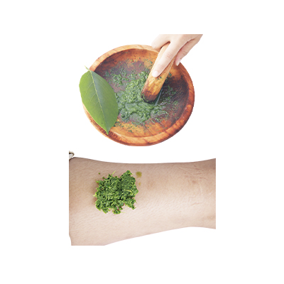 Traditional recipe Internal Bleeding/Inflammation from Dadap Serep