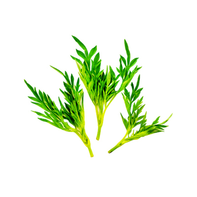 Traditional recipe Addressing Body Odor from Kenikir