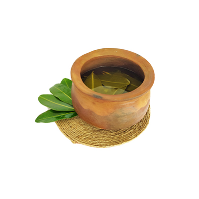 Traditional recipe Skin Rash, Leg Swelling, and Wounds from Nyamplung