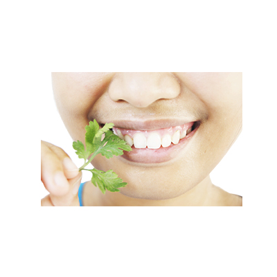 Traditional recipe Preventing Migraines from Feverfew
