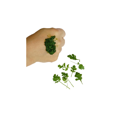 Traditional recipe Wound Remedy from Feverfew