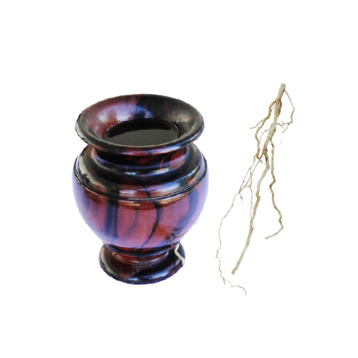 Traditional recipe Antiseptic from Pare Belut