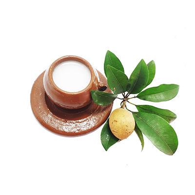 Traditional recipe Diarrhea from Sawo Manila