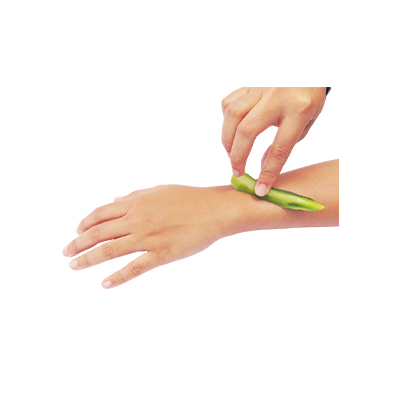 Traditional recipe Boils, Pyoderma (Pus-Filled Skin Inflammation) from Spurge Antik