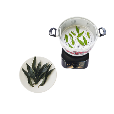 Traditional recipe Stomach Ulcers from Daun Simbuan