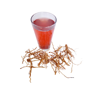 Traditional recipe Dysentery, Diarrhea, and Rheumatism from Pulutan