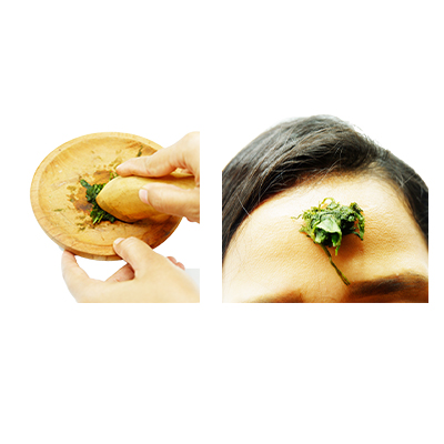 Traditional recipe Headache from Wedelia