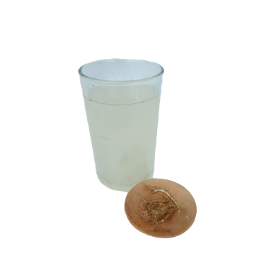 Traditional recipe Excessive Menstruation from Meniran