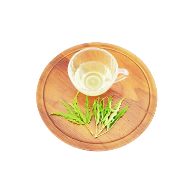 Traditional recipe Diuretic from Daun Berlangkas
