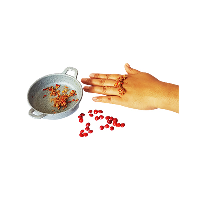 Traditional recipe Gout from Saga