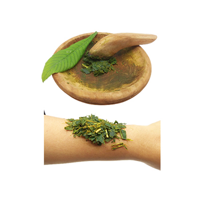 Traditional recipe Skin Irritation or Swelling from Biwa