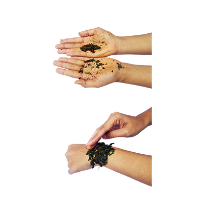 Traditional recipe Rheumatism from Walangi