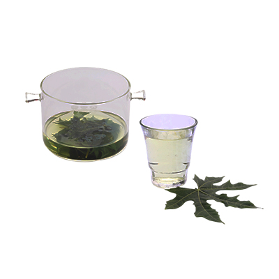Traditional recipe Controlling Blood Pressure from Pepaya Jepang
