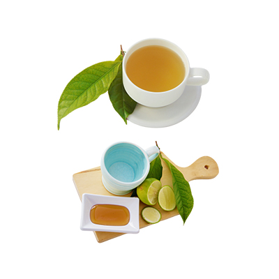 Traditional recipe Migraine from Teh