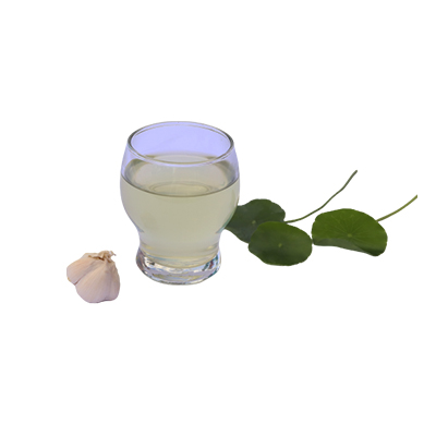 Traditional recipe Reducing Migraine from Bawang Putih