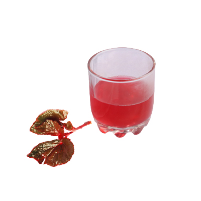 Traditional recipe Fever from Begonia