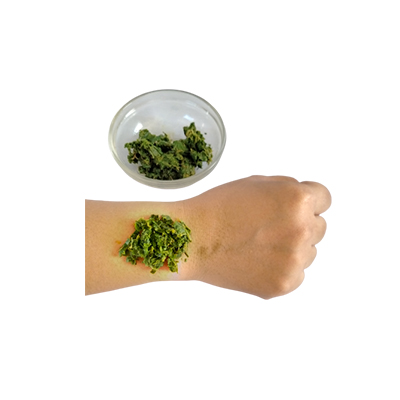 Traditional recipe Reducing Bleeding from a Wound from Senggani Bulu
