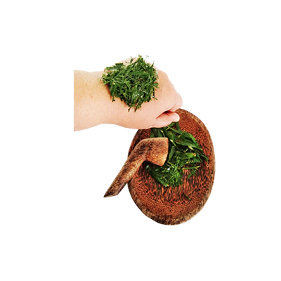 Traditional recipe Healing Wounds from Bambu Rambat
