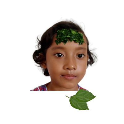 Traditional recipe Fever from Bunga Sepatu