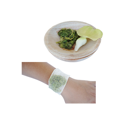 Traditional recipe Skin Abscess (Swollen, Pus-filled) from Eceng Gondok