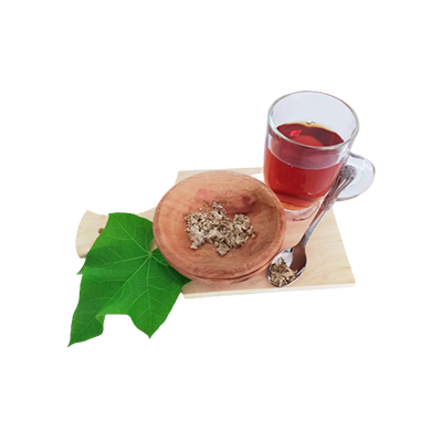 Traditional recipe Contraceptive Remedy from Jarak Pagar