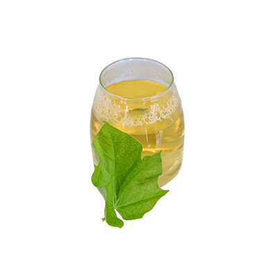 Traditional recipe Reducing Fever from Jarak Pagar