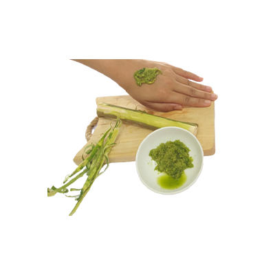 Traditional recipe Addressing Centipede and Snake Venom from Kayu Along