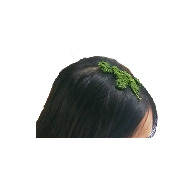 Traditional recipe Addressing Dandruff from Kayu Along