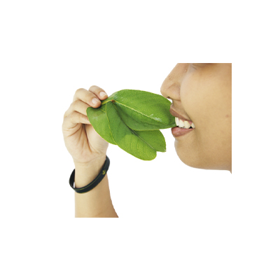 Traditional recipe Canker Sores from Ketepeng Cina